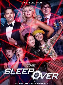 Affiche de La Nuit où on a sauvé Maman, film à voir en streaming sur Pygargue