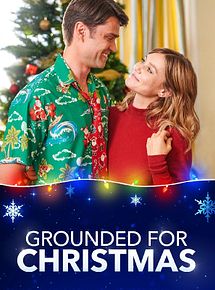 Affiche de Dernière escale avant Noël, film à voir en streaming sur Pygargue