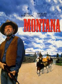 Affiche de Le Dernier cow-boy, film à voir en streaming sur Pygargue