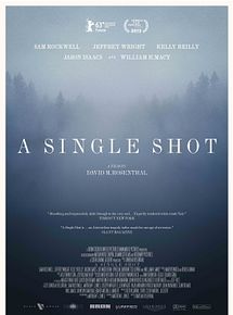 Affiche de A Single Shot, film à voir en streaming sur Pygargue