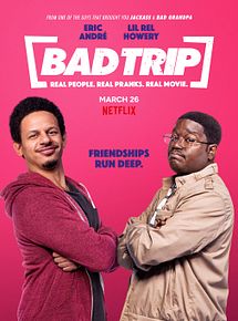 Affiche de Bad Trip, film à voir en streaming sur Pygargue