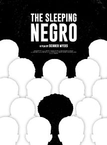Affiche de The Sleeping Negro, film à voir en streaming sur Pygargue