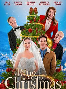 Affiche de Une alliance pour Noël, film à voir en streaming sur Pygargue