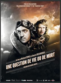Affiche de Une question de vie ou de mort, film à voir en streaming sur Pygargue