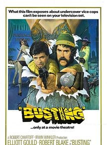 Affiche de Les Casseurs de gangs, film à voir en streaming sur Pygargue
