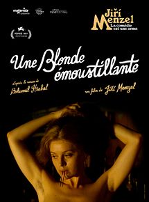 Affiche de Une blonde émoustillante, film à voir en streaming sur Pygargue