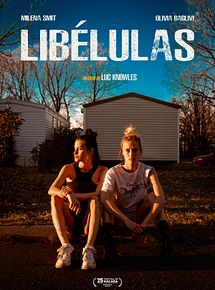 Affiche de Libélulas, film à voir en streaming sur Pygargue