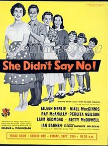 Affiche de She Didn't Say No !, film à voir en streaming sur Pygargue