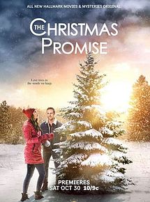 Affiche de P.S. Joyeux Noël, film à voir en streaming sur Pygargue