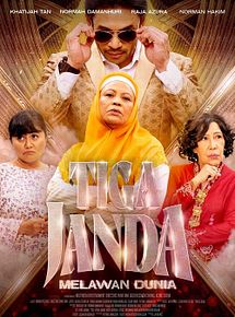 Affiche de Three Widows Against The World, film à voir en streaming sur Pygargue