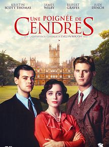 Affiche de Une poignée de cendres, film à voir en streaming sur Pygargue