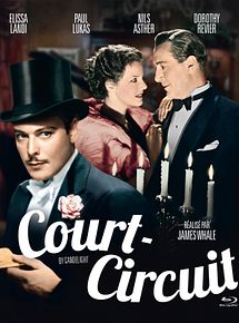 Affiche de Court-circuit, film à voir en streaming sur Pygargue