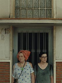 Affiche de The Permanent Picture, film à voir en streaming sur Pygargue