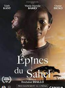 Affiche de Epines du Sahel, film à voir en streaming sur Pygargue