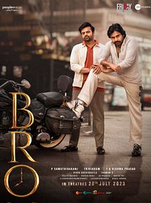 Affiche de Bro, film à voir en streaming sur Pygargue