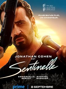 Affiche de Sentinelle, film à voir en streaming sur Pygargue