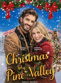 Affiche de Une famille sur mesure pour Noël, film à voir en streaming sur Pygargue
