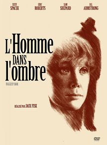 Affiche de L'Homme dans l'ombre, film à voir en streaming sur Pygargue