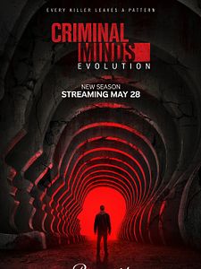 Criminal Minds: Evolution saison 4