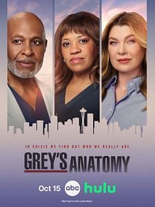 poster de la série Grey's Anatomy Saison 23