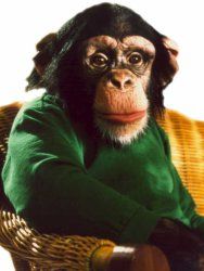 poster de la série Charly la malice Saison 15