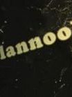 poster de la série Flannoob Saison 1