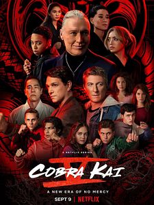 poster de la série Cobra Kai Saison 5