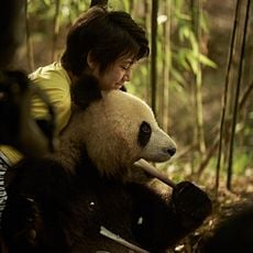 Photo 1 pour Moon Le Panda