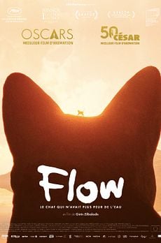 Flow, le chat qui n'avait plus peur de l'eau
