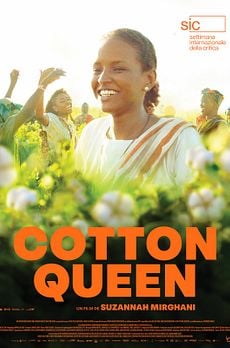 Cotton Queen
