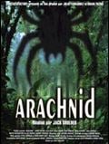 Arachnid