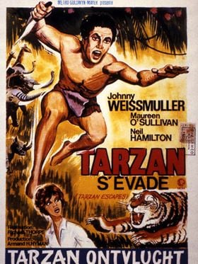 Tarzan s'évade