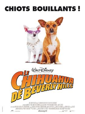 poster de Le Chihuahua de Beverly Hills