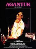 poster de Le Visiteur