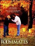 poster de Un Ménage explosif