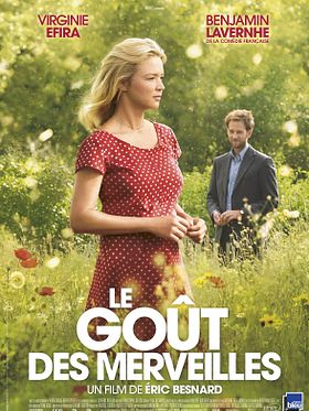 poster de Le goût des merveilles