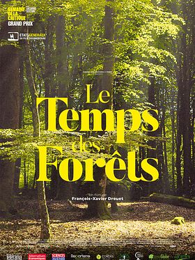 poster de Le Temps des forêts