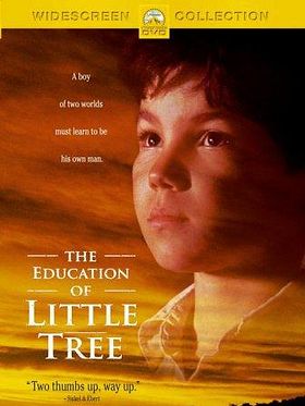 poster de L'Education de Little Tree