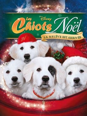 Les Chiots Noël, la relève est arrivée