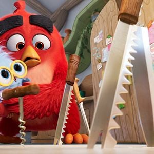 Photo Angry Birds 3 - la grande envolée