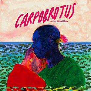 Photo Carpobrotus
