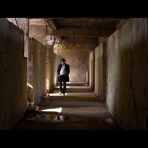 Photo City Exterminator