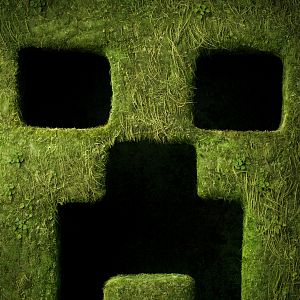 Photo Minecraft, Le Film
