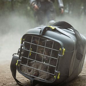 Photo Apocalypse Z : Le début de la fin