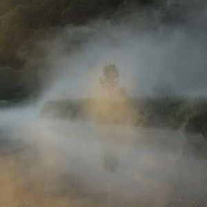 Photo Au cœur du Bélon