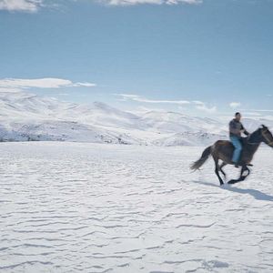 Photo Five Dreamers and a Horse