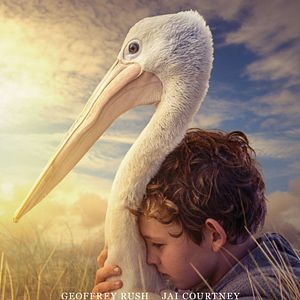 Photo Storm Boy