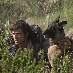 Photo The Dog Stars