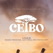 Photo Ceibo