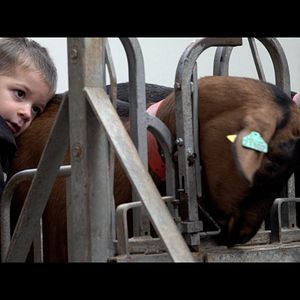 Photo Semer et Récolter